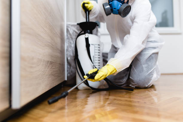 Best Pest Control Near Me  in Plainwell, MI