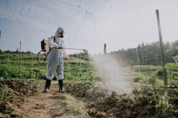 Best Pest Control Cost  in Plainwell, MI