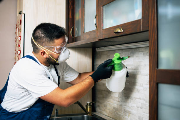 Best Affordable Pest Control Services  in Plainwell, MI