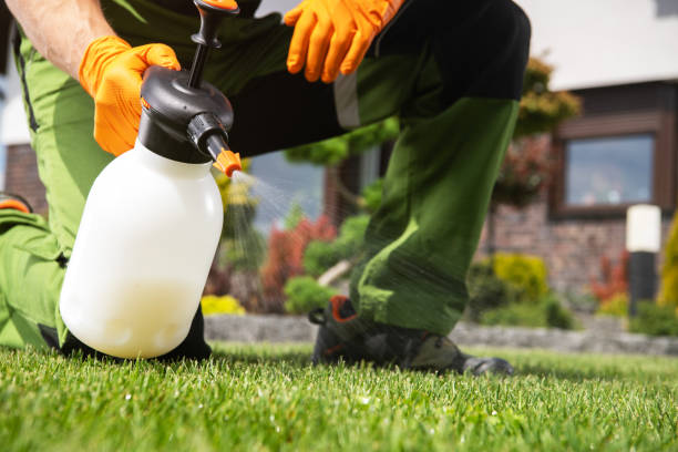 Best Rodent Control Near Me  in Plainwell, MI