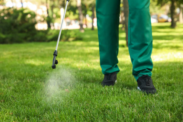 Best Pest Removal Services  in Plainwell, MI