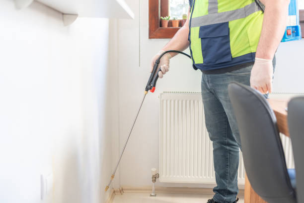 Best Flea Control Services  in Plainwell, MI